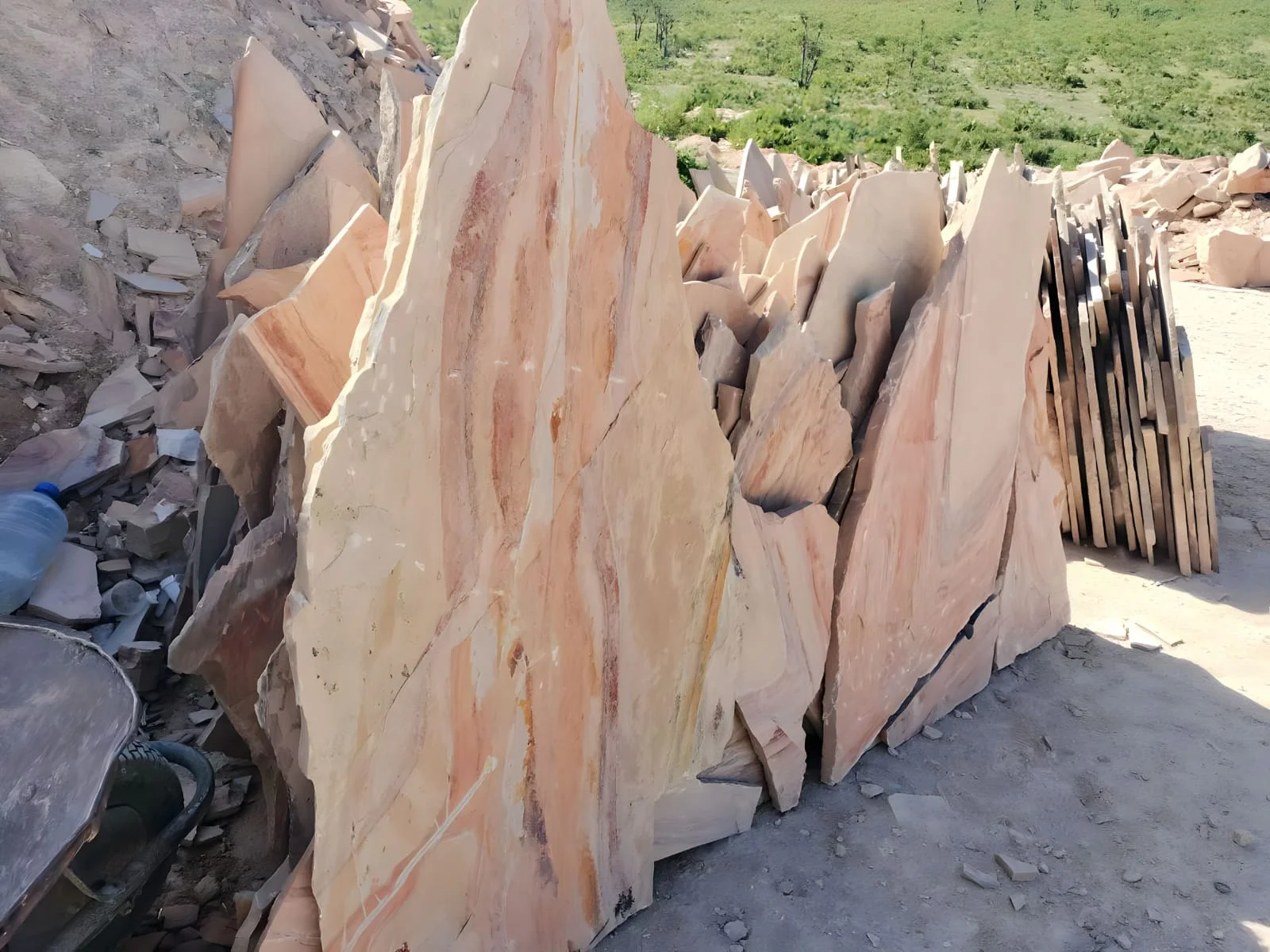 articulo